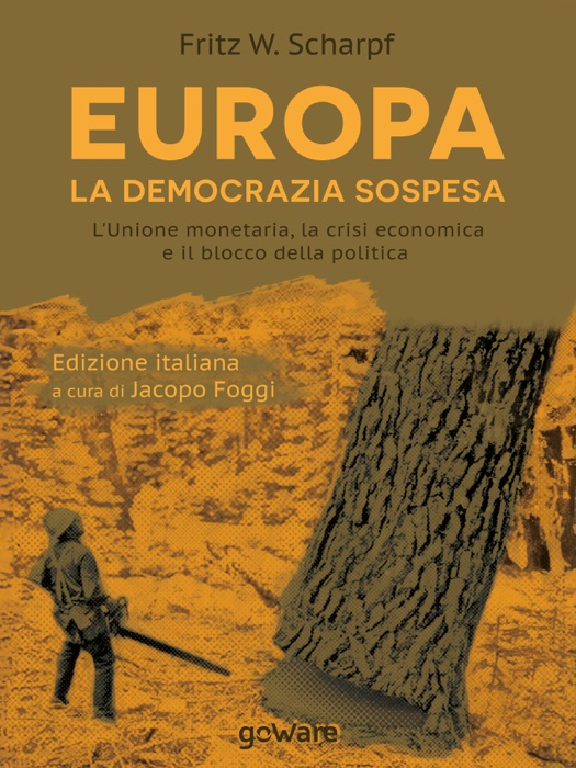 Europa. La democrazia sospesa