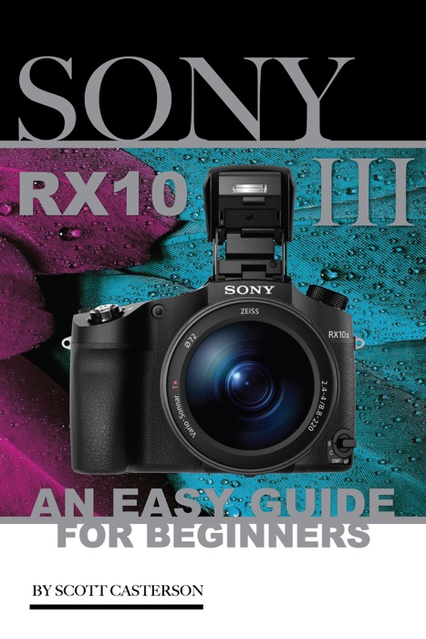 Sony Cyber Shot Dsc Rx100 Iv: A Guide for Beginners