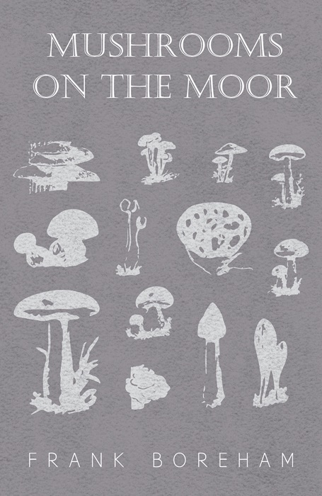 Mushrooms on the Moor