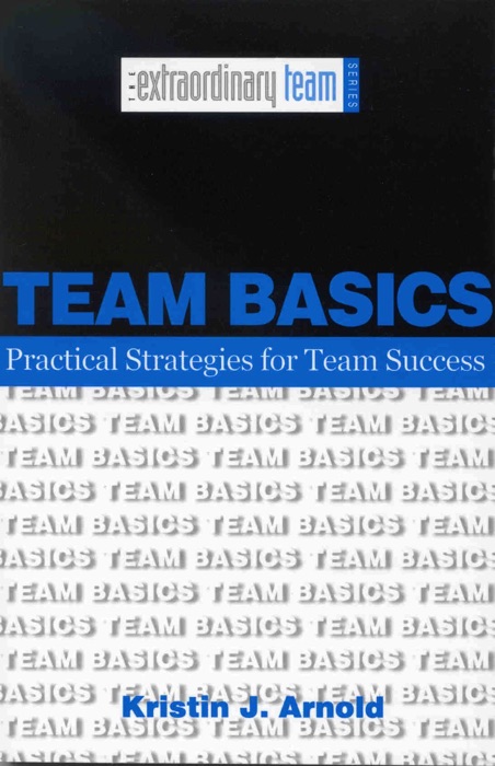 Team Basics: Practical Strategies for Team Success