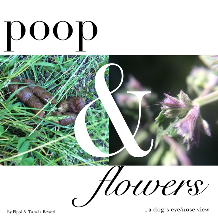 Poop & Flowers