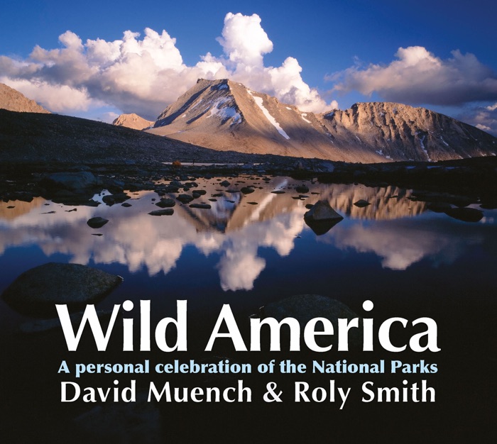 Wild America