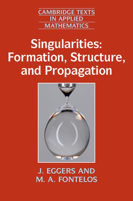 Singularities: Formation, Structure, and Propagation