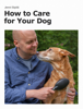 How to Care for Your Dog - Jenni Sipilä