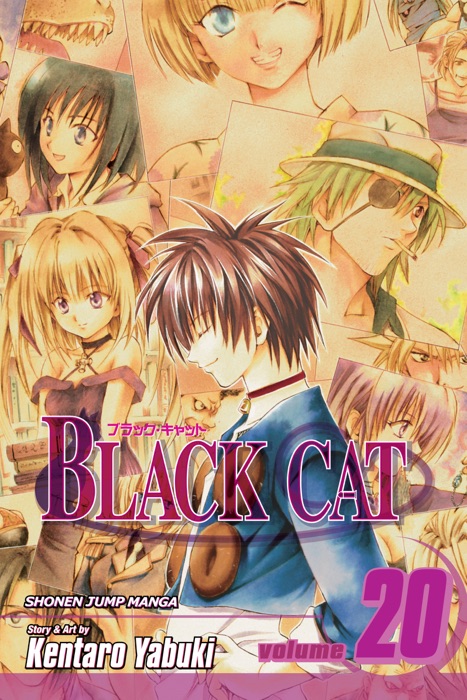 Black Cat, Vol. 20