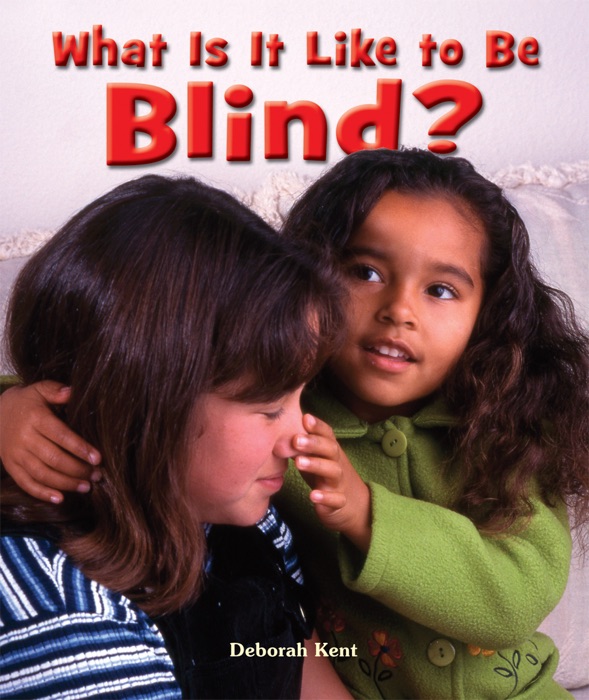 What Is It Like to Be Blind?