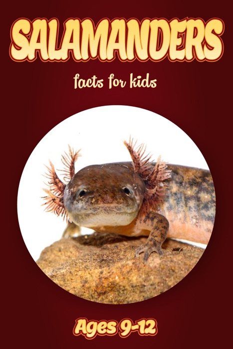 Salamander Facts For Kids 9-12