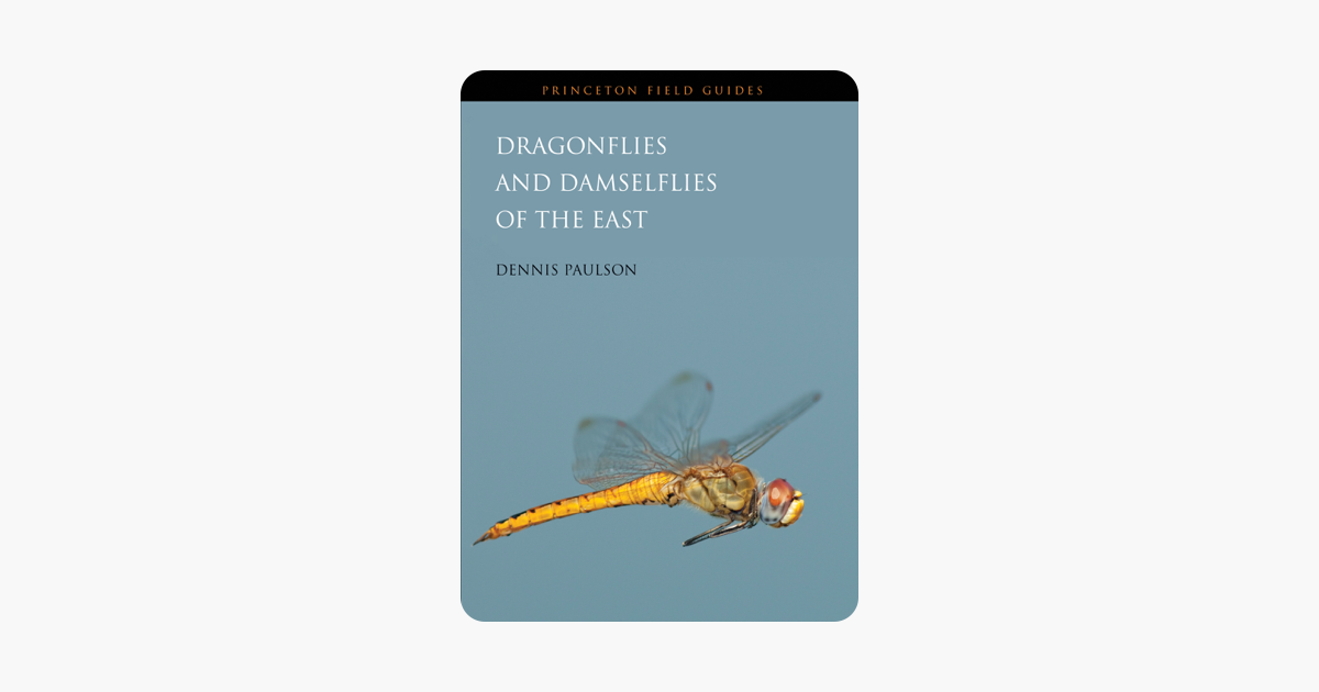 PUBLICATION TITLE: