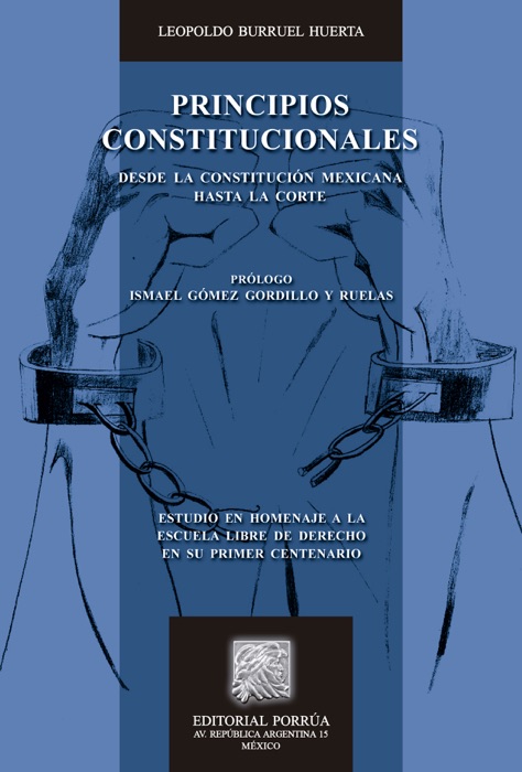 Principios constitucionales