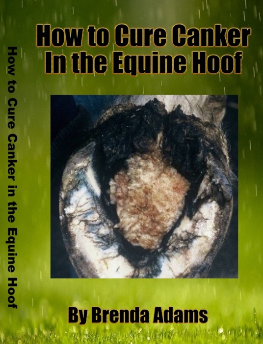 How To Cure Canker in the Equine Hoof