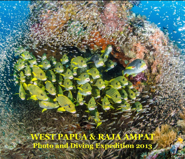 WEST PAPUA & RAJA AMPAT Photo and Diving Expedition 2013