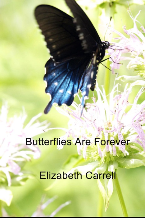 Butterflies Are Forever