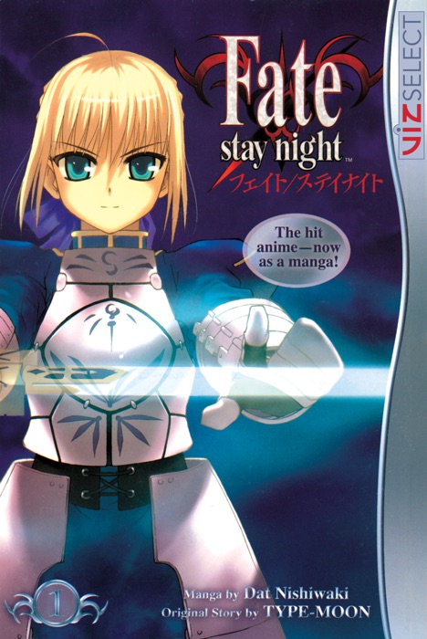 Fate/stay night, Vol. 1