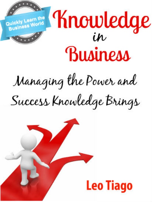 Knowledge in Business: Managing the Power and Success Knowledge Brings