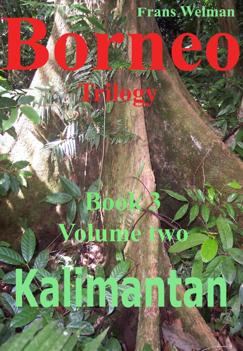 Borneo Trilogy Book 2 Sarawak Volume 2: Kalimantan