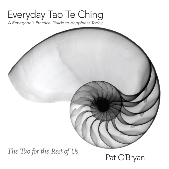 Everyday Tao Te Ching: A Renegade's Practical Guide to Happiness Today
