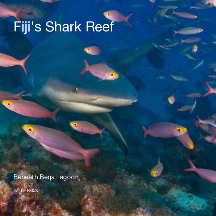 Fiji's Shark Reef