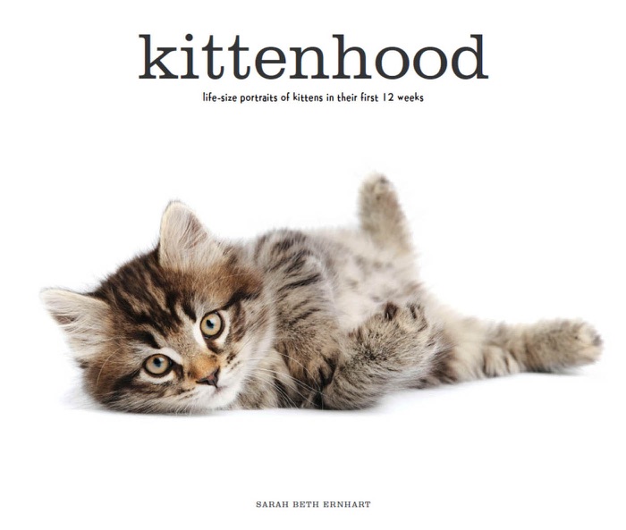 Kittenhood