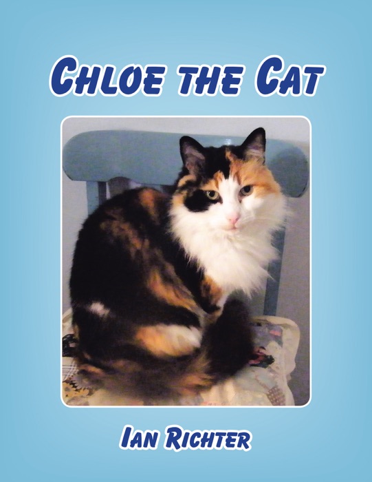 Chloe the Cat