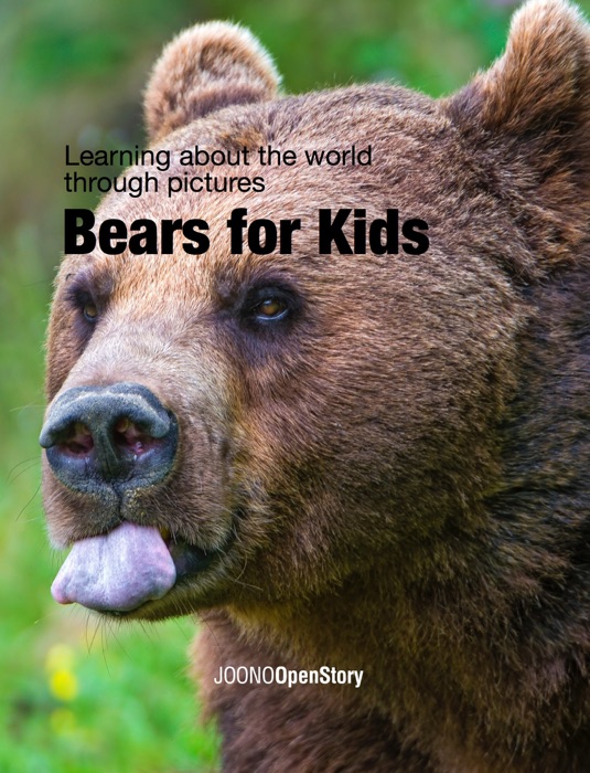 Bears for Kids