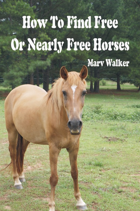 How To Find Free or Nearly Free Horses