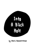 Into a Black Hole