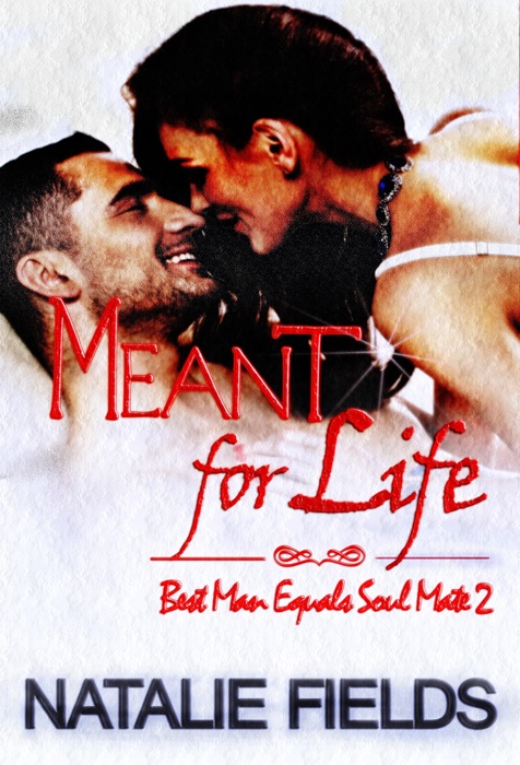 Best Man Equals Soul Mate 2: Meant for Life