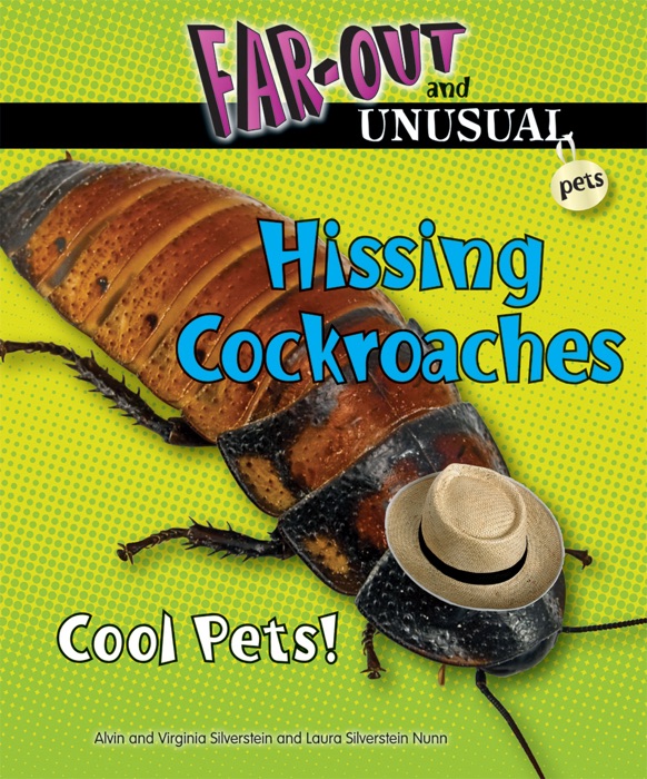 Hissing Cockroaches