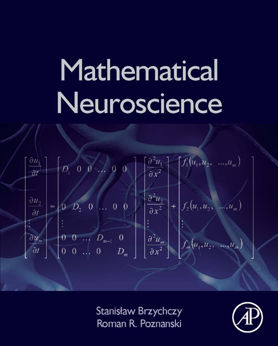 Mathematical Neuroscience