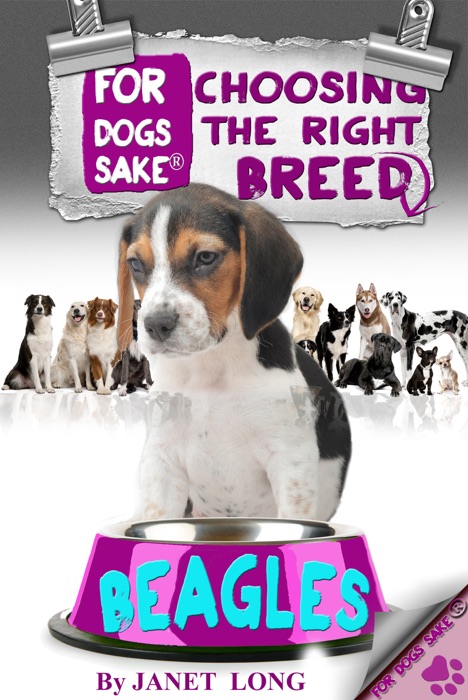 Choosing the Right Breed - Beagles