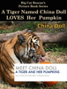China Doll Loves Pumpkins - Big Cat Rescue