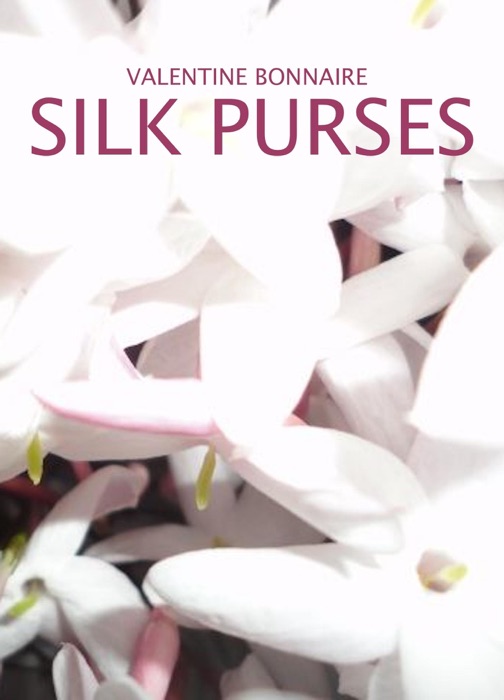 Silk Purses