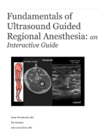 Glenn Woodworth, MD, Eric Roessler & Jean-Louis Horn, MD - Fundamentals of Ultrasound Guided Regional Anesthesia: An Interactive Guide artwork