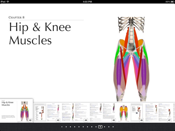 ‎Musculoskeletal Anatomy on Apple Books