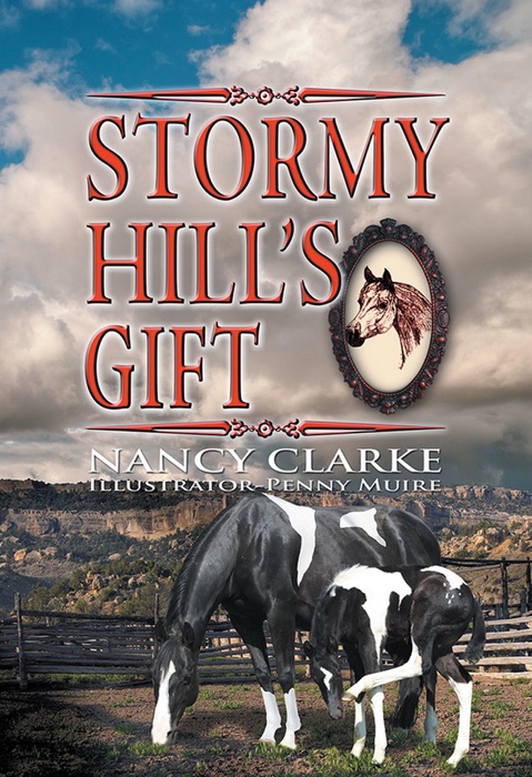 Stormy Hill’s Gift