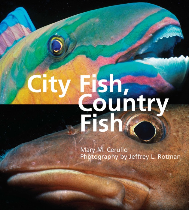 City Fish, Country Fish