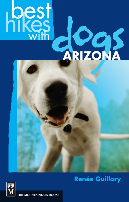 Best Hikes With Dogs Arizona