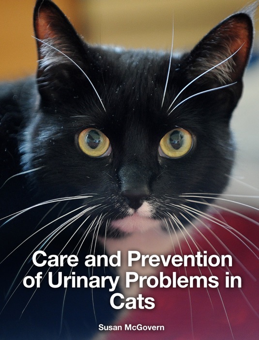 Care and Prevention of Urinary Problems in Cats
