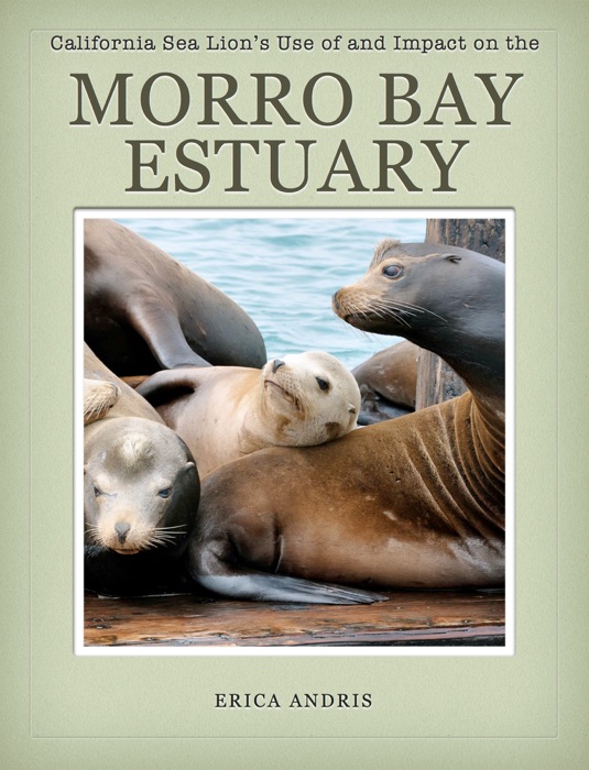 California Sea Lion's Use of and Impact on the Morro Bay Estuary