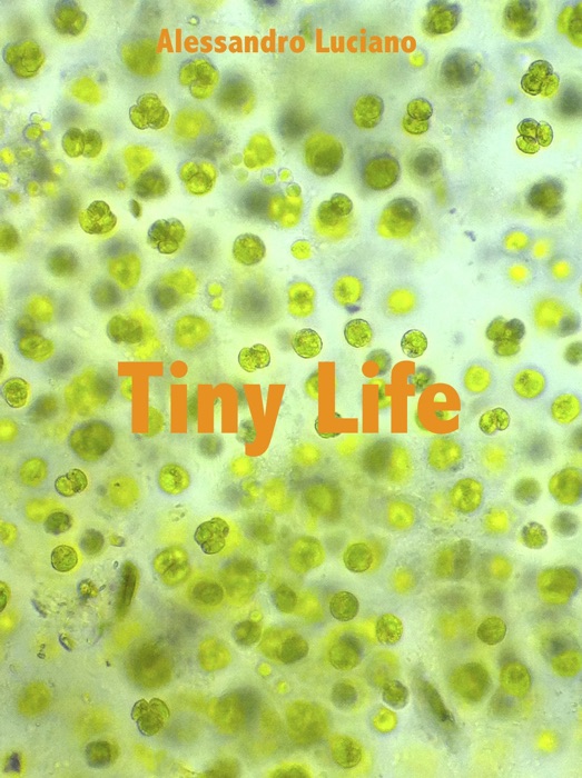 Tiny Life