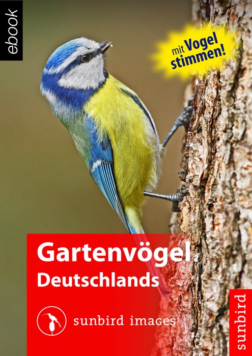 Gartenvögel Deutschlands - Vögel Erkennen, Bestimmen und Schützen [Audio Version]