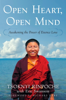 Tsoknyi Rinpoche - Open Heart, Open Mind artwork