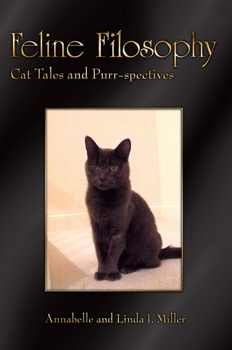 Feline Filosophy: Cat Tales and Purr-spectives