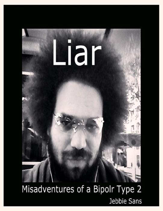 Liar- the Misadventures of a Bipolar Type 2