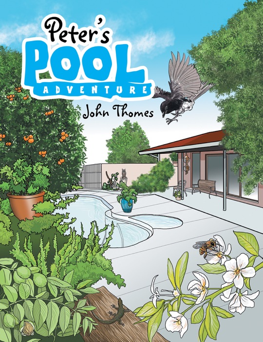 Peter's Pool Adventure