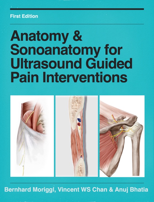 Anatomy & Sonoanatomy for Ultrasound Guided Pain Interventions