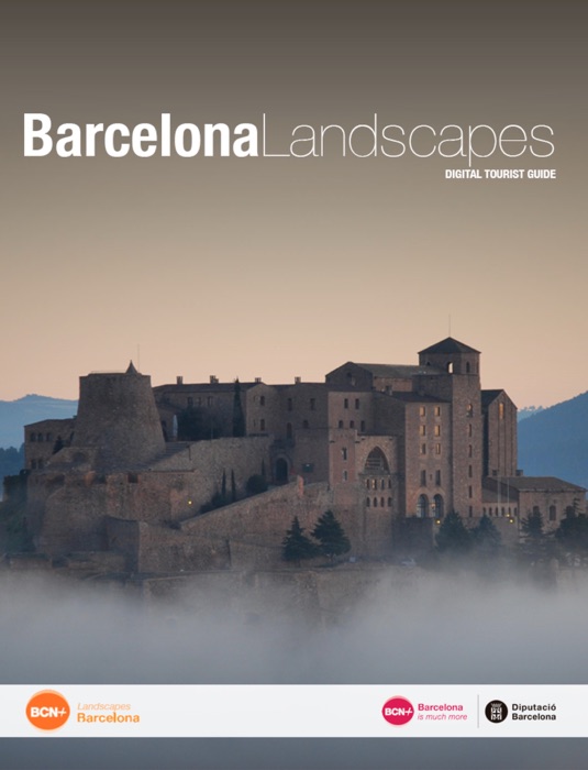 Barcelona Landscapes