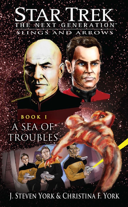 Star Trek: The Next Generation: Slings and Arrows, Book I: A Sea of Troubles