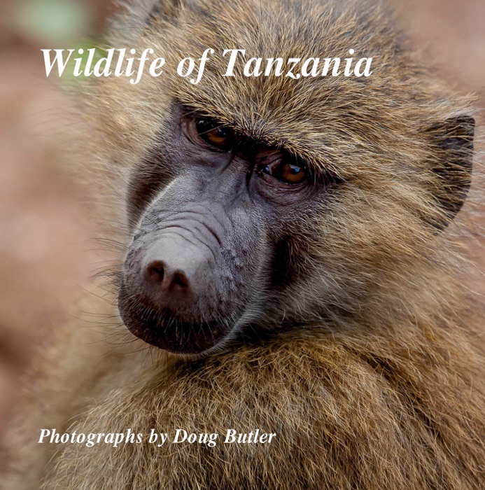 Wildlife of Tanzania