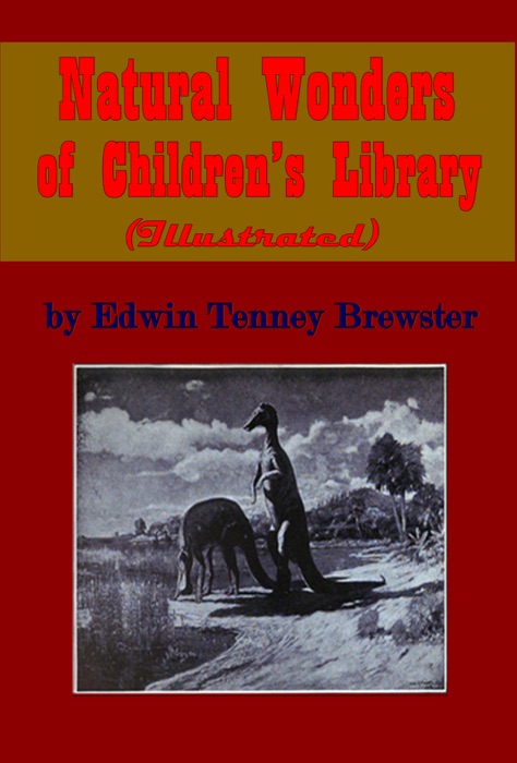 Natural Wonders of Children’s Library (Illustrated)